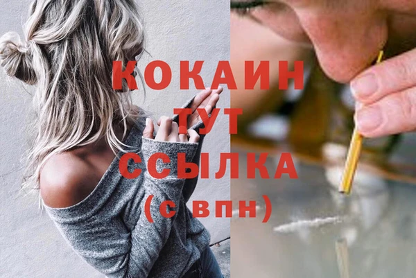 ПСИЛОЦИБИНОВЫЕ ГРИБЫ Беломорск