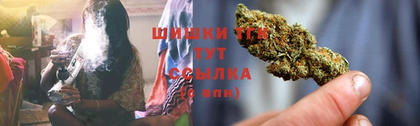ПСИЛОЦИБИНОВЫЕ ГРИБЫ Беломорск