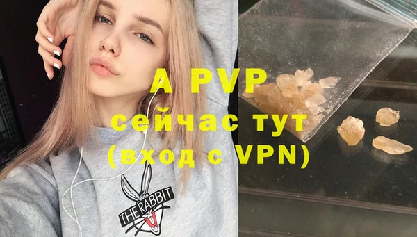 ПСИЛОЦИБИНОВЫЕ ГРИБЫ Беломорск