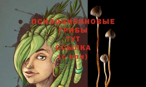 круглые Белокуриха