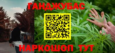 шишки Аргун