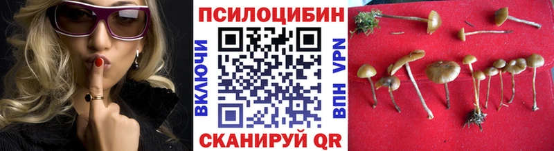 Галлюциногенные грибы ЛСД купить Беслан